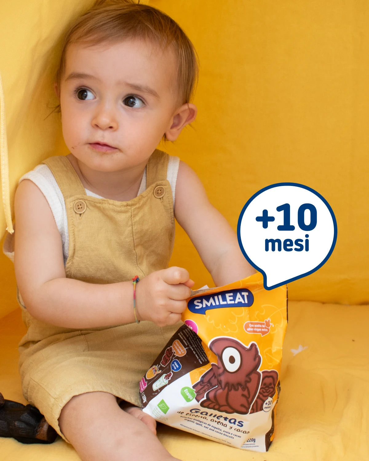 Biscotti biologici di farro, avena e cacao